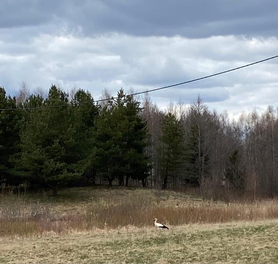 Siedlisko Maria Jablonowo Villa Esterno foto