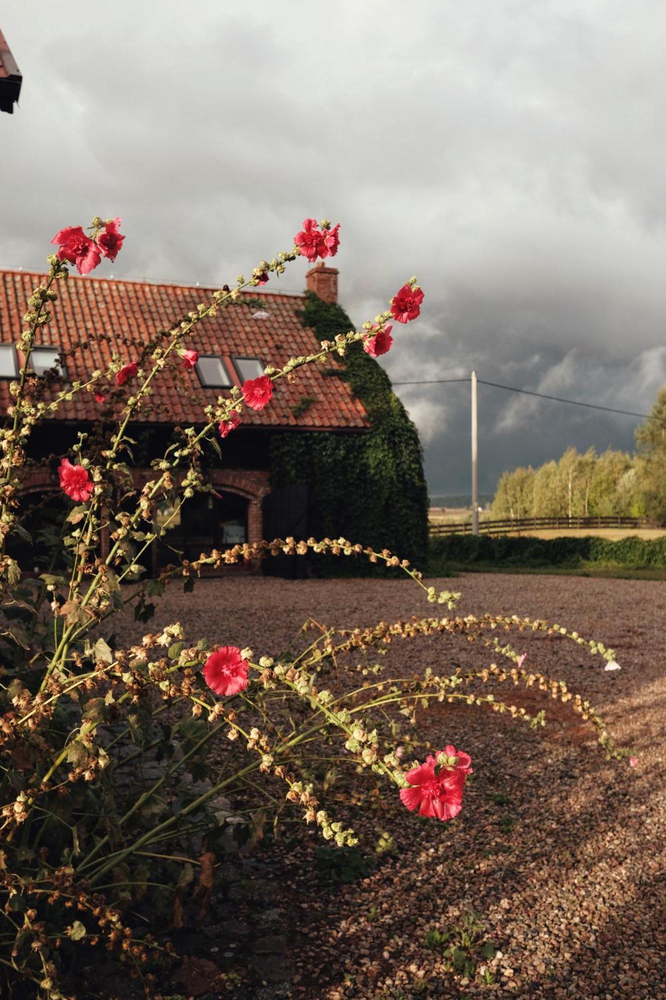 Siedlisko Maria Jablonowo Villa Esterno foto
